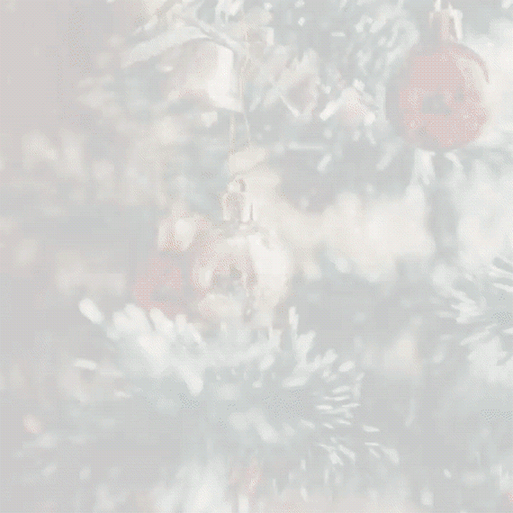 Wishing you a Merry Christmas.